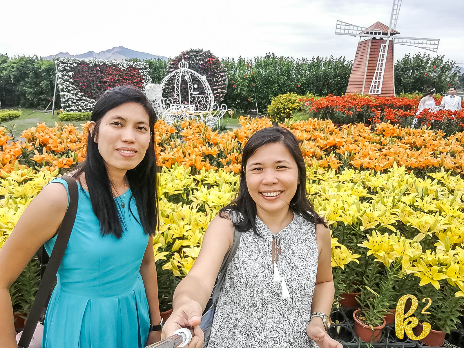 taiwan, travel, places to visit in taiwan, taiwan tourism, taiwan travel, houli, zhong she flower garden, 