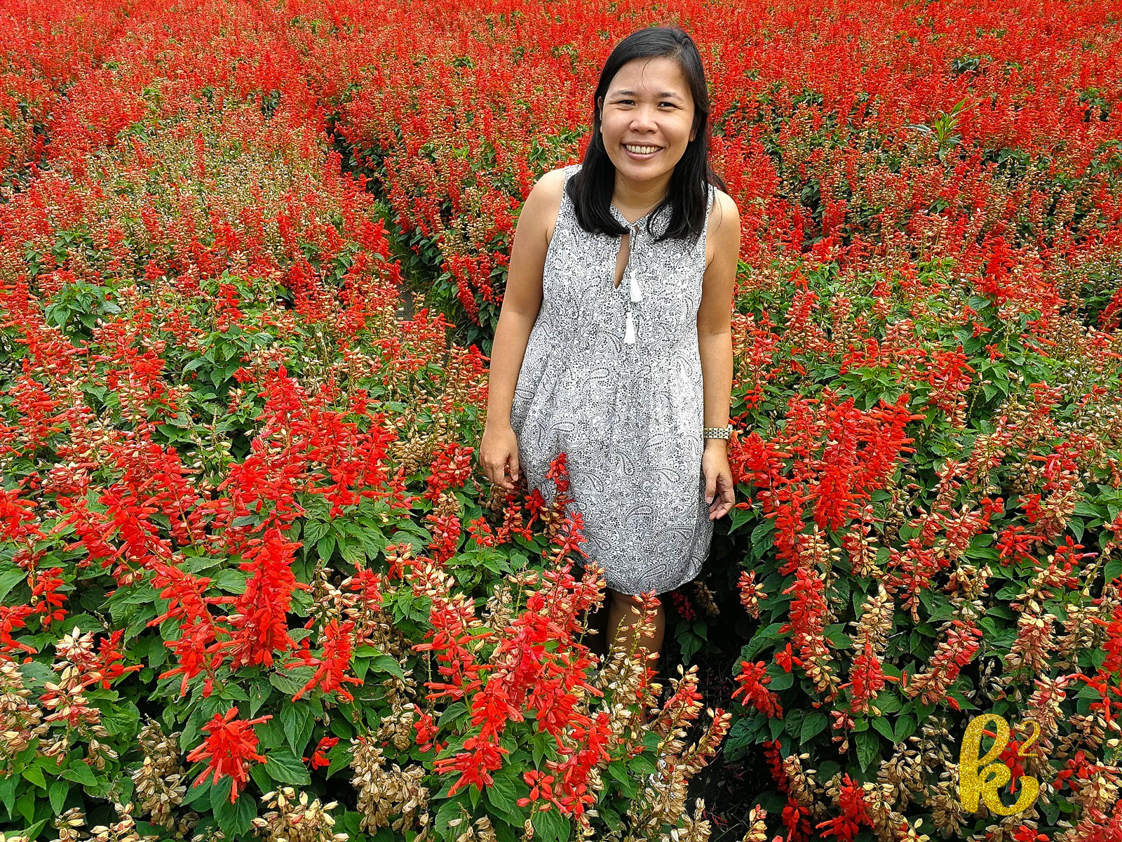 taiwan, travel, places to visit in taiwan, taiwan tourism, taiwan travel, houli, zhong she flower garden, 