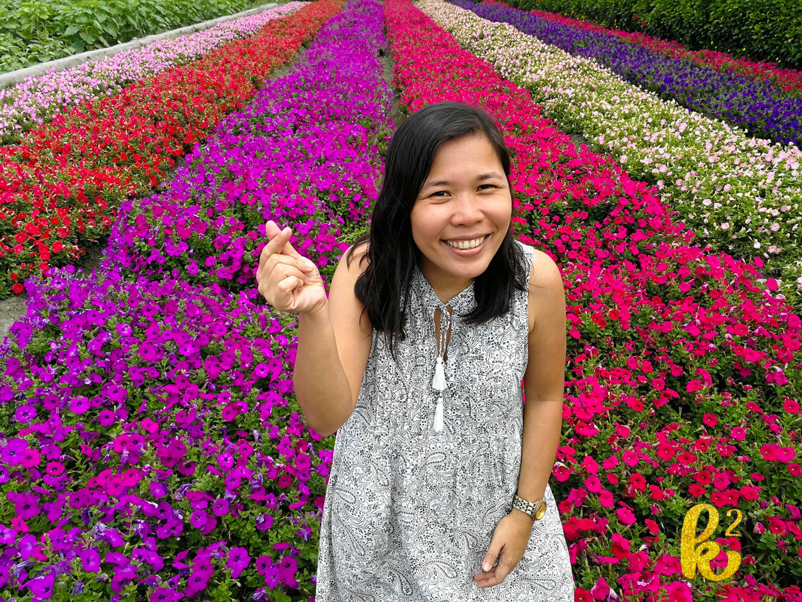 taiwan, travel, places to visit in taiwan, taiwan tourism, taiwan travel, houli, zhong she flower garden, 