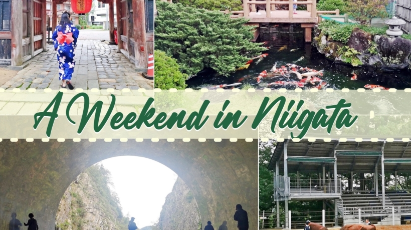 A weekend in Niigata