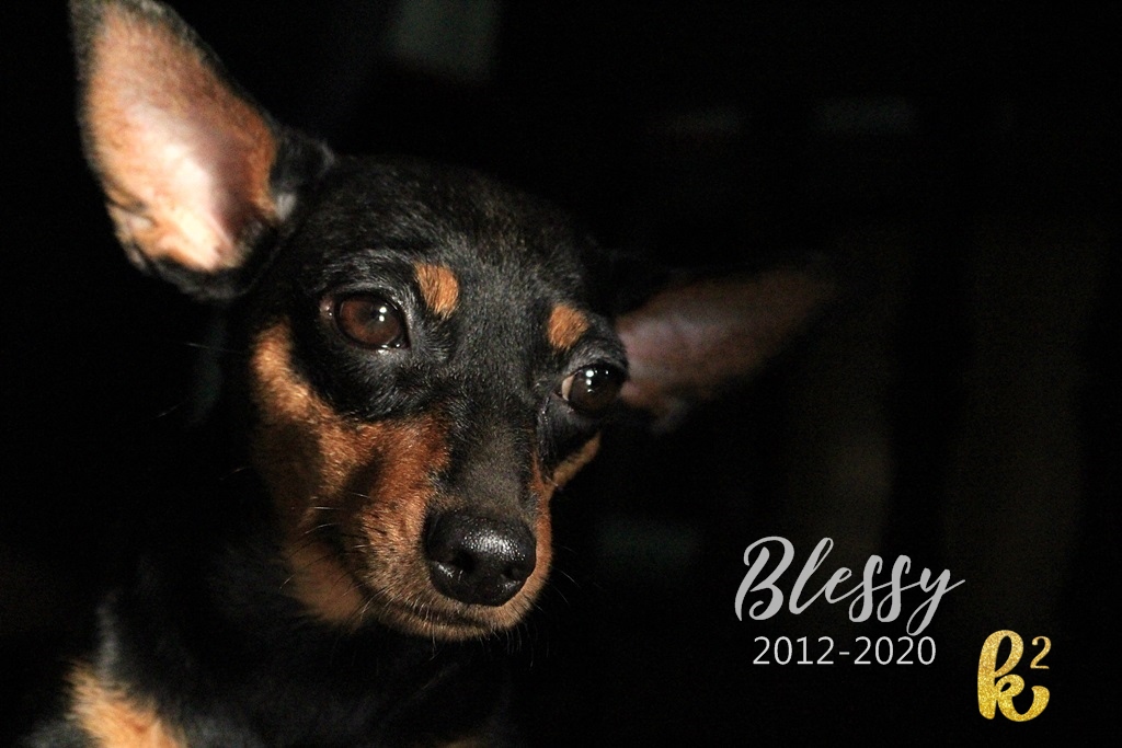 blessy (1)